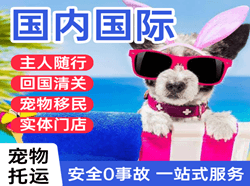 西宁机场快运国际宠物托运 【国